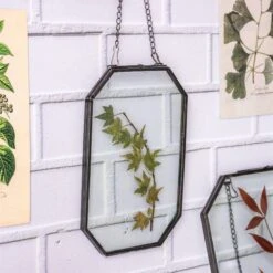 Wall Hanging Black Long Octagon Herbarium Brass Glass Frame For Pressed Flowers Dried Floating Frame -Glass Plant Store 8457