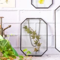 Wall Hanging Black Long Octagon Herbarium Brass Glass Frame For Pressed Flowers Dried Floating Frame -Glass Plant Store 8466