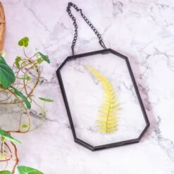 Wall Hanging Black Long Octagon Herbarium Brass Glass Frame For Pressed Flowers Dried Floating Frame -Glass Plant Store 8499