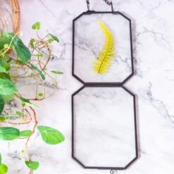 Wall Hanging Black Long Octagon Herbarium Brass Glass Frame For Pressed Flowers Dried Floating Frame -Glass Plant Store 8505