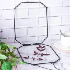 Wall Hanging Black Long Octagon Herbarium Brass Glass Frame For Pressed Flowers Dried Floating Frame -Glass Plant Store 8530