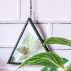 Hanging Black Triangle Herbarium Brass Glass Frame For Pressed Flowers Dried Flowers Poster 15 Hanging Black Triangle Herbarium Brass Glass Frame For Pressed Flowers Dried Flowers Poster -Glass Plant Store 8566