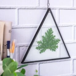 Hanging Black Triangle Herbarium Brass Glass Frame For Pressed Flowers Dried Flowers Poster 13 Hanging Black Triangle Herbarium Brass Glass Frame For Pressed Flowers Dried Flowers Poster -Glass Plant Store 8585
