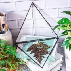 Hanging Black Triangle Herbarium Brass Glass Frame For Pressed Flowers Dried Flowers Poster 12 Hanging Black Triangle Herbarium Brass Glass Frame For Pressed Flowers Dried Flowers Poster -Glass Plant Store 8592