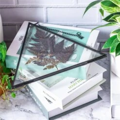 Hanging Black Triangle Herbarium Brass Glass Frame For Pressed Flowers Dried Flowers Poster 11 Hanging Black Triangle Herbarium Brass Glass Frame For Pressed Flowers Dried Flowers Poster -Glass Plant Store 8595