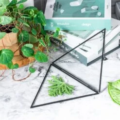 Hanging Black Triangle Herbarium Brass Glass Frame For Pressed Flowers Dried Flowers Poster 14 Hanging Black Triangle Herbarium Brass Glass Frame For Pressed Flowers Dried Flowers Poster -Glass Plant Store 8602