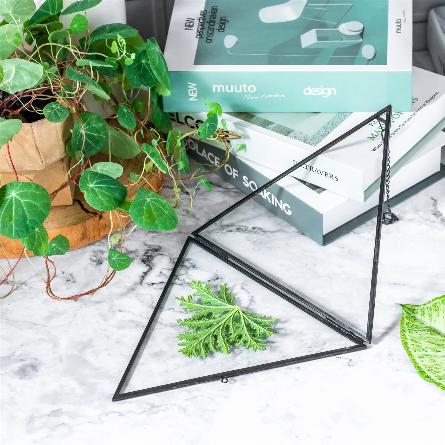 Hanging Black Triangle Herbarium Brass Glass Frame For Pressed Flowers Dried Flowers Poster 6 Hanging Black Triangle Herbarium Brass Glass Frame For Pressed Flowers Dried Flowers Poster - Image 6