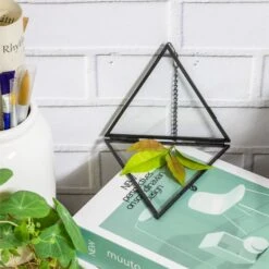 Hanging Black Triangle Herbarium Brass Glass Frame For Pressed Flowers Dried Flowers Poster 16 Hanging Black Triangle Herbarium Brass Glass Frame For Pressed Flowers Dried Flowers Poster -Glass Plant Store 8609