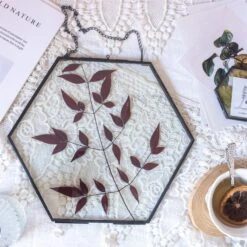 Hanging Black Hexagon Herbarium Brass Glass Frame For Pressed Flowers Dried Flowers Floating Frame -Glass Plant Store 8645