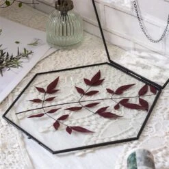 Hanging Black Hexagon Herbarium Brass Glass Frame For Pressed Flowers Dried Flowers Floating Frame -Glass Plant Store 8741