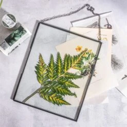 Handmade Black Large Wall Hanging Brass Glass Artwork Certificate Photo Display Floating Frame -Glass Plant Store 8871