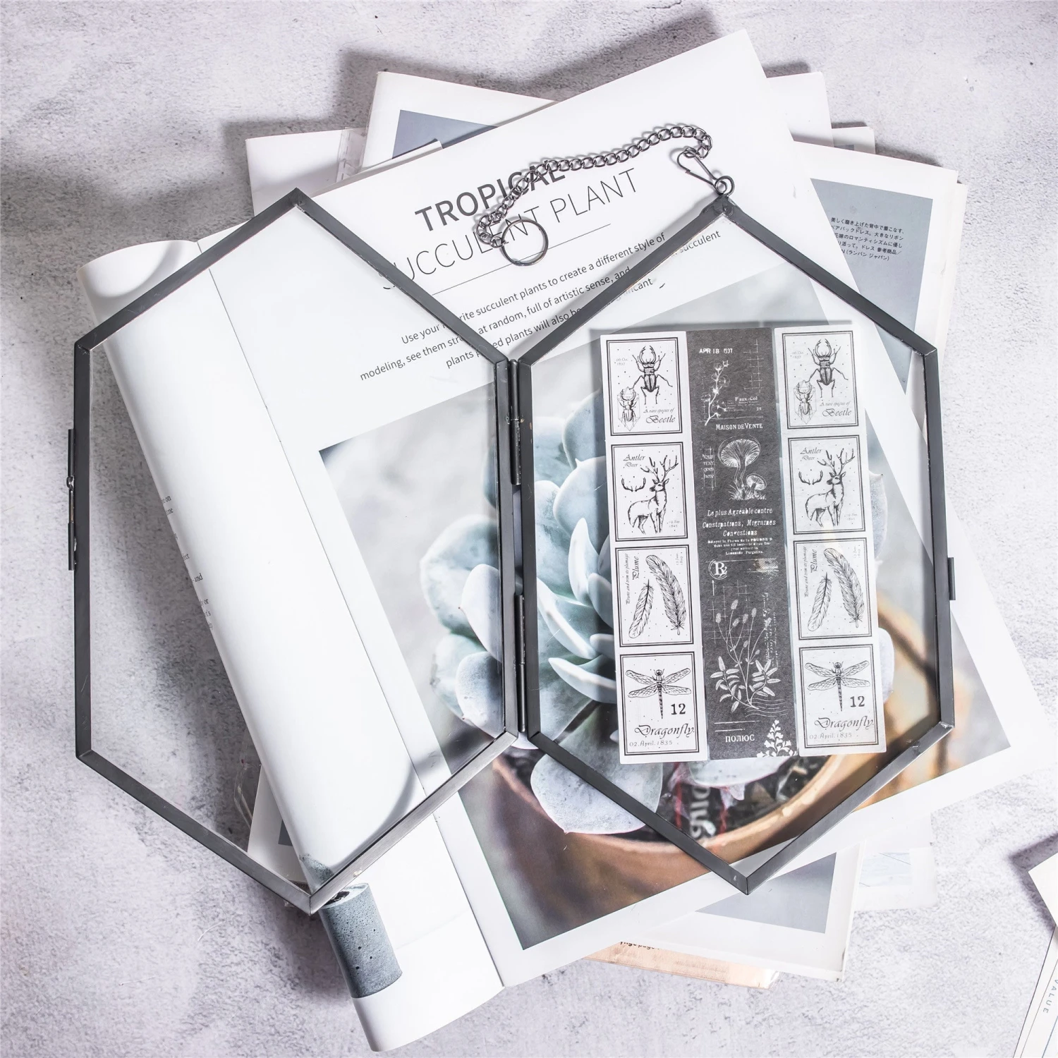 NCYP Vintage Black Brass Floating Hanging Glass Long Hexagon Photo Frame For Fern, Pressed Flower 2 NCYP Vintage Black Brass Floating Hanging Glass Long Hexagon Photo Frame For Fern, Pressed Flower - Image 2