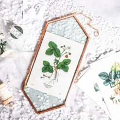 NCYP Vintage Rose Gold Copper Floating Hanging Glass Long Hexagon Frame For Fern, Pressed Flower 13 NCYP Vintage Rose Gold Copper Floating Hanging Glass Long Hexagon Frame For Fern, Pressed Flower -Glass Plant Store 8931