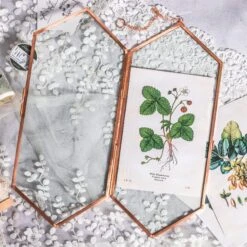 NCYP Vintage Rose Gold Copper Floating Hanging Glass Long Hexagon Frame For Fern, Pressed Flower 14 NCYP Vintage Rose Gold Copper Floating Hanging Glass Long Hexagon Frame For Fern, Pressed Flower -Glass Plant Store 8932