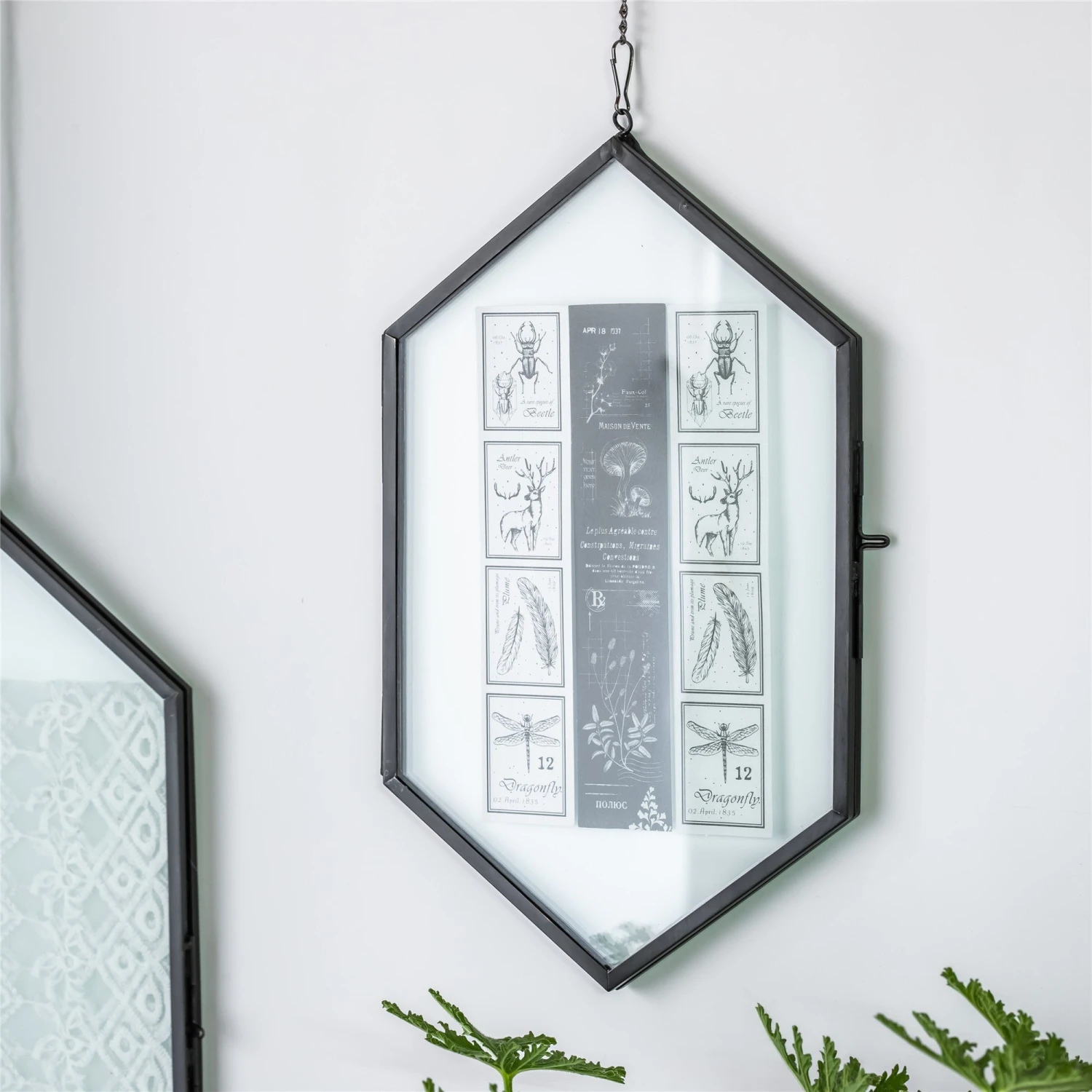 NCYP Vintage Black Brass Floating Hanging Glass Long Hexagon Photo Frame For Fern, Pressed Flower 4 NCYP Vintage Black Brass Floating Hanging Glass Long Hexagon Photo Frame For Fern, Pressed Flower - Image 4
