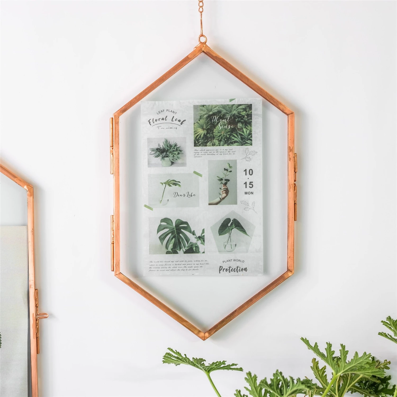 NCYP Vintage Rose Gold Copper Floating Hanging Glass Long Hexagon Frame For Fern, Pressed Flower 3 NCYP Vintage Rose Gold Copper Floating Hanging Glass Long Hexagon Frame For Fern, Pressed Flower - Image 3