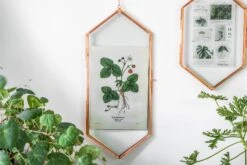 NCYP Vintage Rose Gold Copper Floating Hanging Glass Long Hexagon Frame For Fern, Pressed Flower 16 NCYP Vintage Rose Gold Copper Floating Hanging Glass Long Hexagon Frame For Fern, Pressed Flower -Glass Plant Store 9005