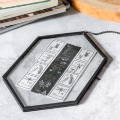 NCYP Vintage Black Brass Floating Hanging Glass Long Hexagon Photo Frame For Fern, Pressed Flower 11 NCYP Vintage Black Brass Floating Hanging Glass Long Hexagon Photo Frame For Fern, Pressed Flower -Glass Plant Store 9013