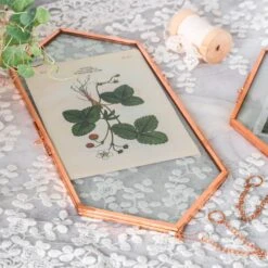 NCYP Vintage Rose Gold Copper Floating Hanging Glass Long Hexagon Frame For Fern, Pressed Flower 15 NCYP Vintage Rose Gold Copper Floating Hanging Glass Long Hexagon Frame For Fern, Pressed Flower -Glass Plant Store 9034