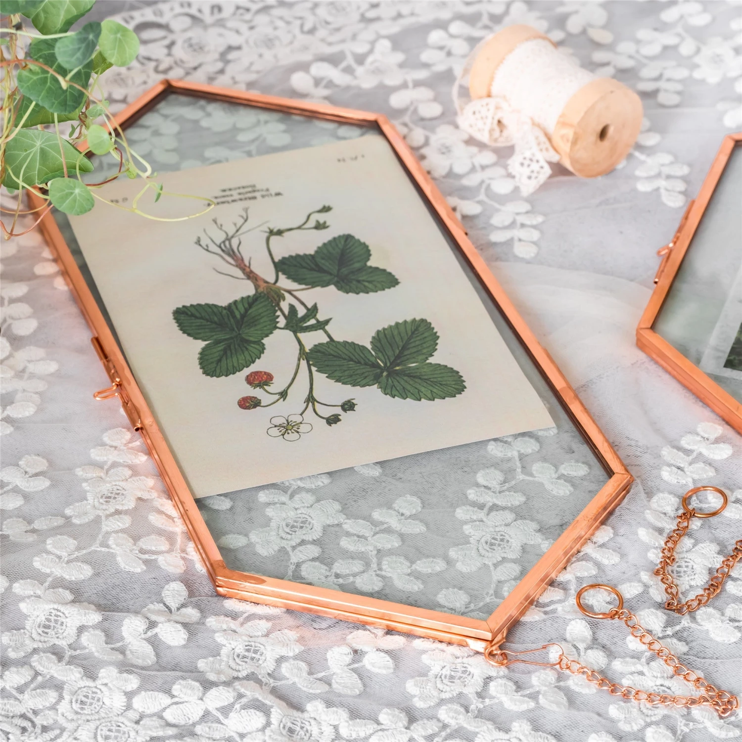 NCYP Vintage Rose Gold Copper Floating Hanging Glass Long Hexagon Frame For Fern, Pressed Flower 7 NCYP Vintage Rose Gold Copper Floating Hanging Glass Long Hexagon Frame For Fern, Pressed Flower - Image 7