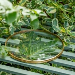 NCYP Wall Hanging Round 8" 10" 12" Herbarium Brass Glass Frame For Pressed Flowers, Poster, Double Glass, Floating Frame -Glass Plant Store DSC02277