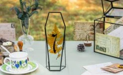 Brass Gold Tabletop Vintage Frame Geometric Ornament Plant Specimen Clip Modern Decor Card Holder 5X7" Reception 28 Brass Gold Tabletop Vintage Frame Geometric Ornament Plant Specimen Clip Modern Decor Card Holder 5X7" Reception -Glass Plant Store G01A0154