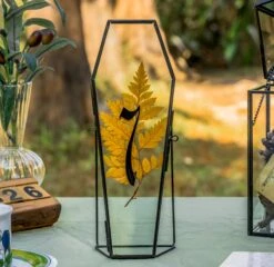 Glass Plant Store -Glass Plant Store G01A0186