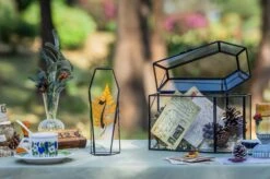 Brass Gold Tabletop Vintage Frame Geometric Ornament Plant Specimen Clip Modern Decor Card Holder 5X7" Reception 29 Brass Gold Tabletop Vintage Frame Geometric Ornament Plant Specimen Clip Modern Decor Card Holder 5X7" Reception -Glass Plant Store G01A0207