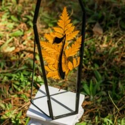 Brass Gold Tabletop Vintage Frame Geometric Ornament Plant Specimen Clip Modern Decor Card Holder 5X7" Reception 23 Brass Gold Tabletop Vintage Frame Geometric Ornament Plant Specimen Clip Modern Decor Card Holder 5X7" Reception -Glass Plant Store G01A0283