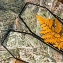 Brass Gold Tabletop Vintage Frame Geometric Ornament Plant Specimen Clip Modern Decor Card Holder 5X7" Reception 38 Brass Gold Tabletop Vintage Frame Geometric Ornament Plant Specimen Clip Modern Decor Card Holder 5X7" Reception -Glass Plant Store G01A0331