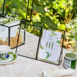 Glass Plant Store -Glass Plant Store G01A1638