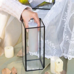 Glass Plant Store -Glass Plant Store G01A3115