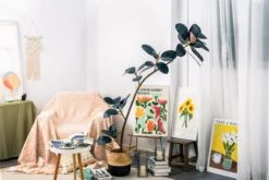 NCYP Artificial Rubber Tree, Rubber Fig, Rubber Bush 5.9FT (70.8 Inches) Tall Faux Plant For Home Office Decor, Indoor Fake Potted Ficus Elastica Tree With Plastic Pot And Rattan Woven Basket 15 NCYP Artificial Rubber Tree, Rubber Fig, Rubber Bush 5.9FT (70.8 Inches) Tall Faux Plant For Home Office Decor, Indoor Fake Potted Ficus Elastica Tree With Plastic Pot And Rattan Woven Basket -Glass Plant Store G01A5221