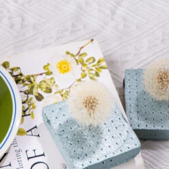 Presered Dandelion Set 3 Pcs Dried Flowers, DIY Material For Bouquet, -Glass Plant Store G01A5694