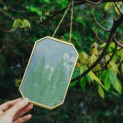 Wall Hanging Long Octagon Herbarium Brass Glass Frame For Pressed Flowers Dried Floating Frame -Glass Plant Store G01A9779