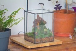 NCYP Basic Rectangle Close Geometric Glass Tin Terrarium, Planter Multiple Size For Moss Wall, Fern, Landscape Multiple Size, No Plants -Glass Plant Store IMG 0105