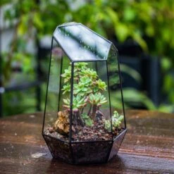 Handmade Irregular Tall Black Glass Geometric Terrarium Various Size For Succulents Moss Airplants