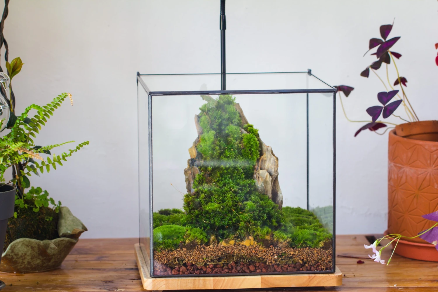 10" Cube Close Geometric Glass Tin Terrarium, Planter For Moss Wall, Fern, Landscape No Plants 4 10" Cube Close Geometric Glass Tin Terrarium, Planter For Moss Wall, Fern, Landscape No Plants - Image 4