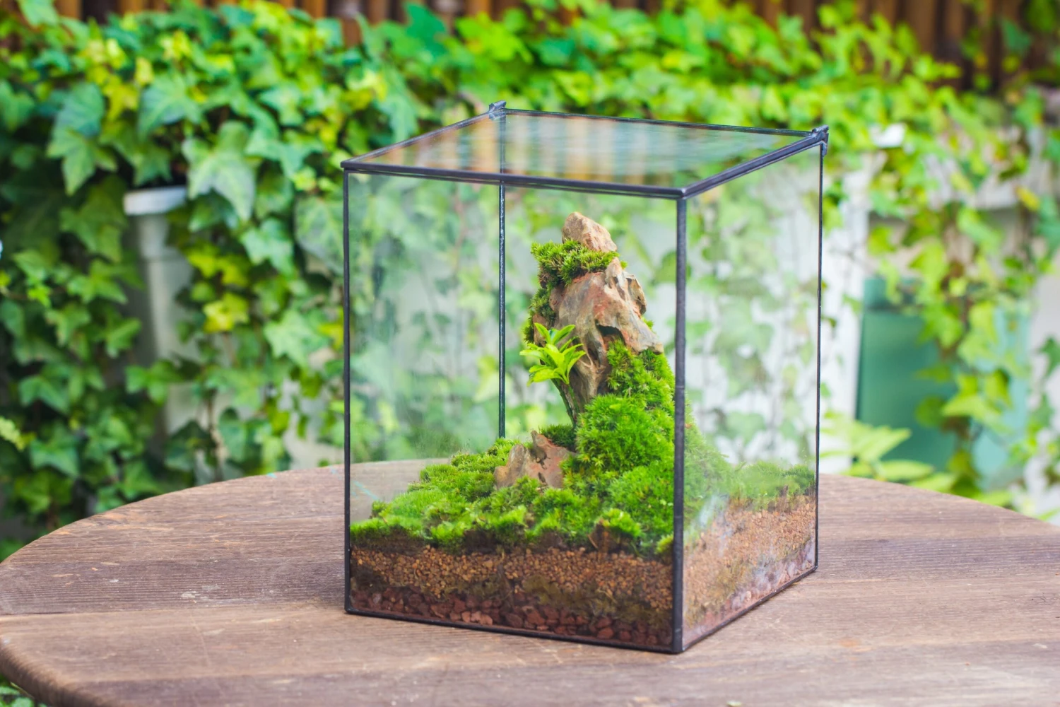 10" Cube Close Geometric Glass Tin Terrarium, Planter For Moss Wall, Fern, Landscape No Plants 18 10" Cube Close Geometric Glass Tin Terrarium, Planter For Moss Wall, Fern, Landscape No Plants - Image 18