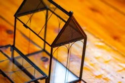 Vintage Mini House Shape Glass Geometric Terrarium For Jumping Spider 25 Vintage Mini House Shape Glass Geometric Terrarium For Jumping Spider -Glass Plant Store IMG 0190