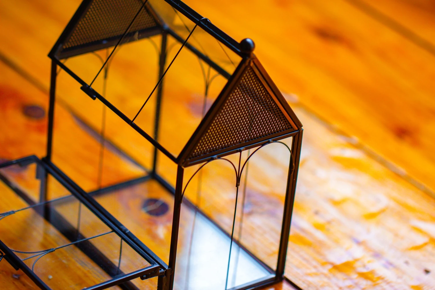 Vintage Mini House Shape Glass Geometric Terrarium For Jumping Spider 6 Vintage Mini House Shape Glass Geometric Terrarium For Jumping Spider - Image 6