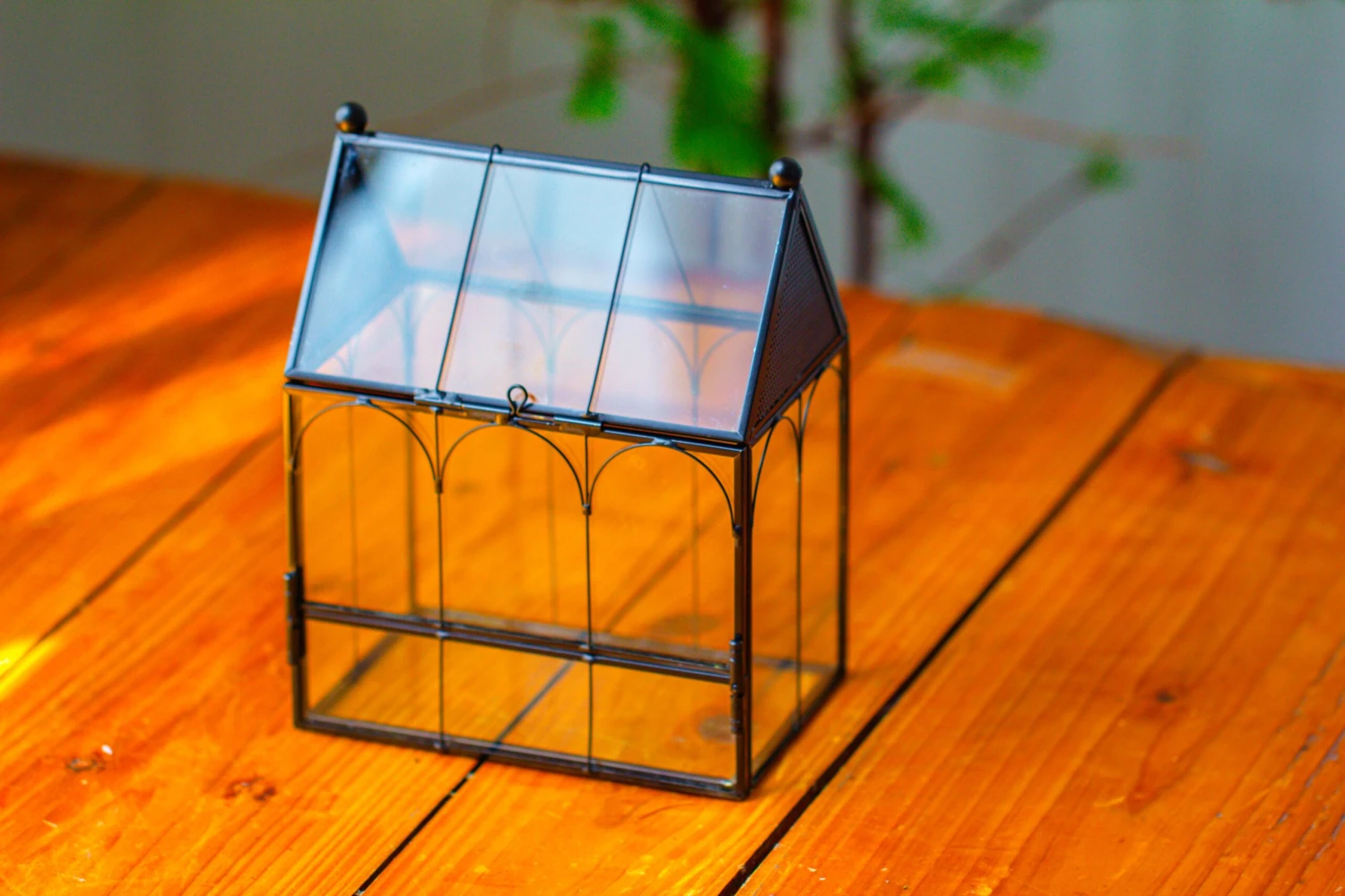 Vintage Mini House Shape Glass Geometric Terrarium For Jumping Spider 7 Vintage Mini House Shape Glass Geometric Terrarium For Jumping Spider - Image 7
