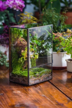 NCYP Close Geometric Glass Terrarium With Door, Tin Sealed Rectangle Tall Moss Wall Planter For Moss Wall, Fern, Landscape Multiple Size 35 NCYP Close Geometric Glass Terrarium With Door, Tin Sealed Rectangle Tall Moss Wall Planter For Moss Wall, Fern, Landscape Multiple Size -Glass Plant Store IMG 0226
