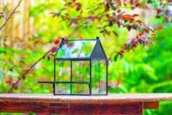 Vintage Mini House Shape Glass Geometric Terrarium For Jumping Spider 28 Vintage Mini House Shape Glass Geometric Terrarium For Jumping Spider -Glass Plant Store IMG 0275