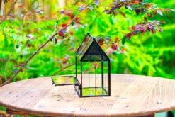 Vintage Mini House Shape Glass Geometric Terrarium For Jumping Spider 29 Vintage Mini House Shape Glass Geometric Terrarium For Jumping Spider -Glass Plant Store IMG 0276
