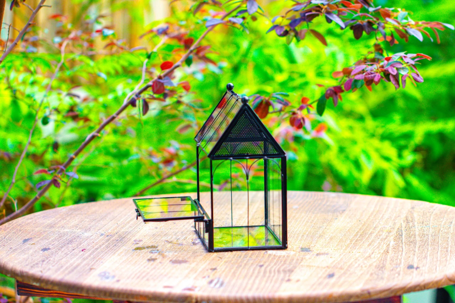 Vintage Mini House Shape Glass Geometric Terrarium For Jumping Spider 10 Vintage Mini House Shape Glass Geometric Terrarium For Jumping Spider - Image 10