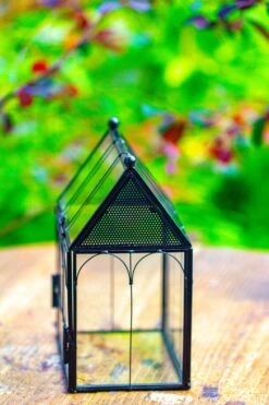 Vintage Mini House Shape Glass Geometric Terrarium For Jumping Spider 30 Vintage Mini House Shape Glass Geometric Terrarium For Jumping Spider -Glass Plant Store IMG 0280