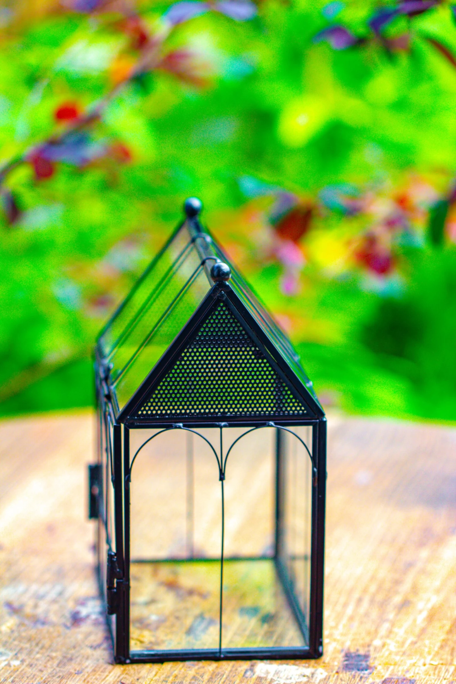 Vintage Mini House Shape Glass Geometric Terrarium For Jumping Spider 11 Vintage Mini House Shape Glass Geometric Terrarium For Jumping Spider - Image 11