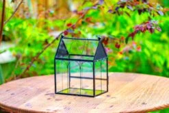 Vintage Mini House Shape Glass Geometric Terrarium For Jumping Spider 31 Vintage Mini House Shape Glass Geometric Terrarium For Jumping Spider -Glass Plant Store IMG 0282