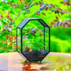 NCYP Octagon 6x8 Inches Geometric Terrarium With Vents For Small Insects